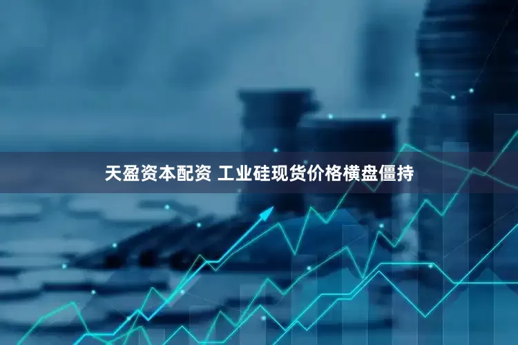 天盈资本配资 工业硅现货价格横盘僵持