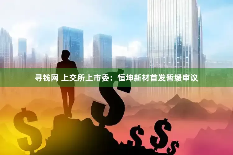 寻钱网 上交所上市委：恒坤新材首发暂缓审议