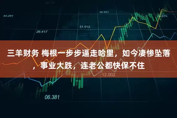 三羊财务 梅根一步步逼走哈里，如今凄惨坠落，事业大跌，连老公都快保不住