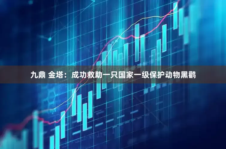 九鼎 金塔：成功救助一只国家一级保护动物黑鹳