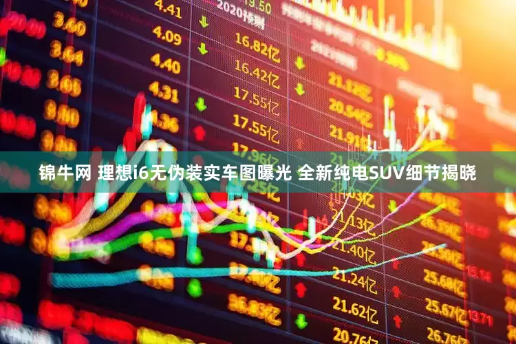 锦牛网 理想i6无伪装实车图曝光 全新纯电SUV细节揭晓