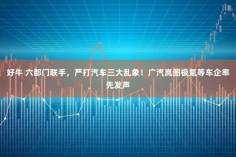 好牛 六部门联手，严打汽车三大乱象！广汽岚图极氪等车企率先发声