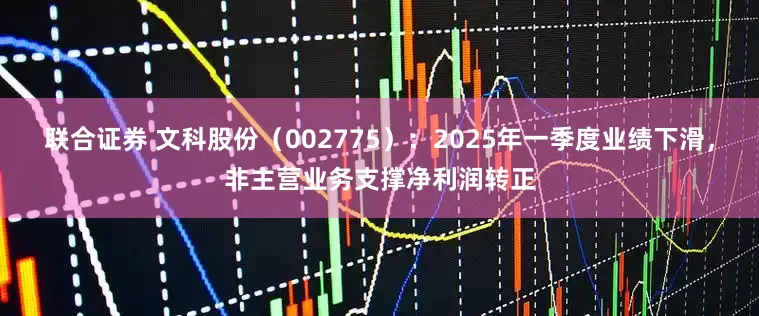 联合证券 文科股份（002775）：2025年一季度业绩下滑，非主营业务支撑净利润转正