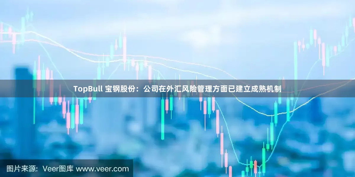 TopBull 宝钢股份：公司在外汇风险管理方面已建立成熟机制